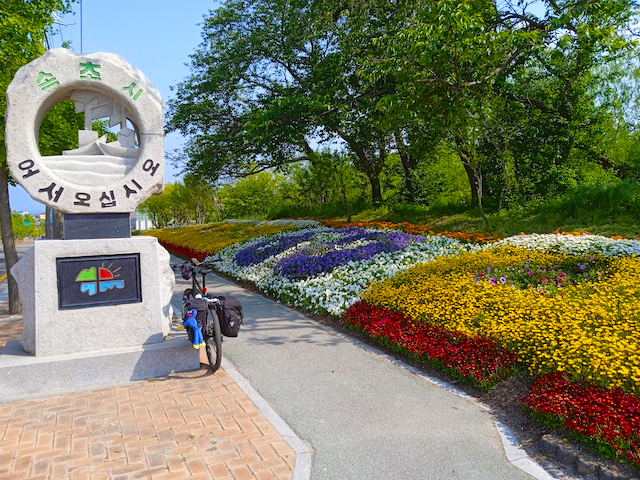 Flowers blooming in spring along the cycling path in South Korea